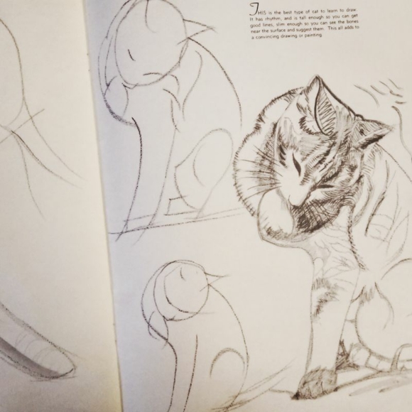 Walter Foster How to Draw Cats Vintage book - Picture 2 of 3